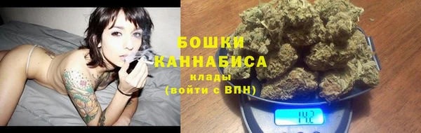 молекула духа Новосибирск