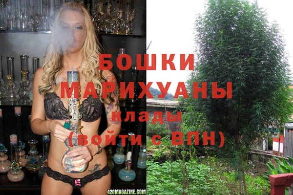 прущие крисы Корсаков