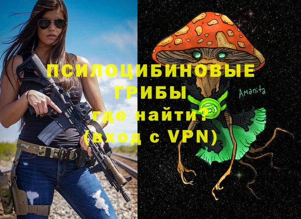 МДПВ Краснотурьинск