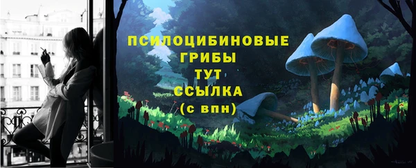 синтетический гашиш Краснослободск
